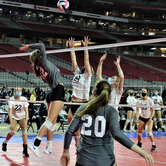 Meet your Posher, Tara - Picture 3 of 4